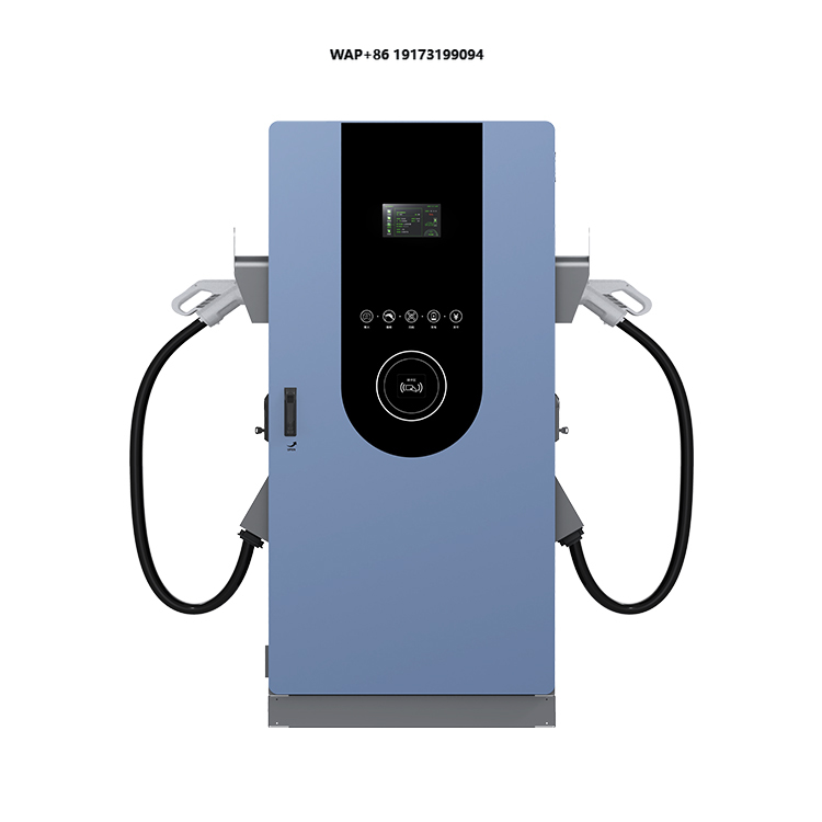 Nuevo Cargador de CC para Vehí - Ev Charging Pile reseña y precio