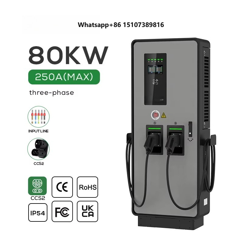 Cargador de CC dual para vehíc - Ev Charging Pile reseña y precio