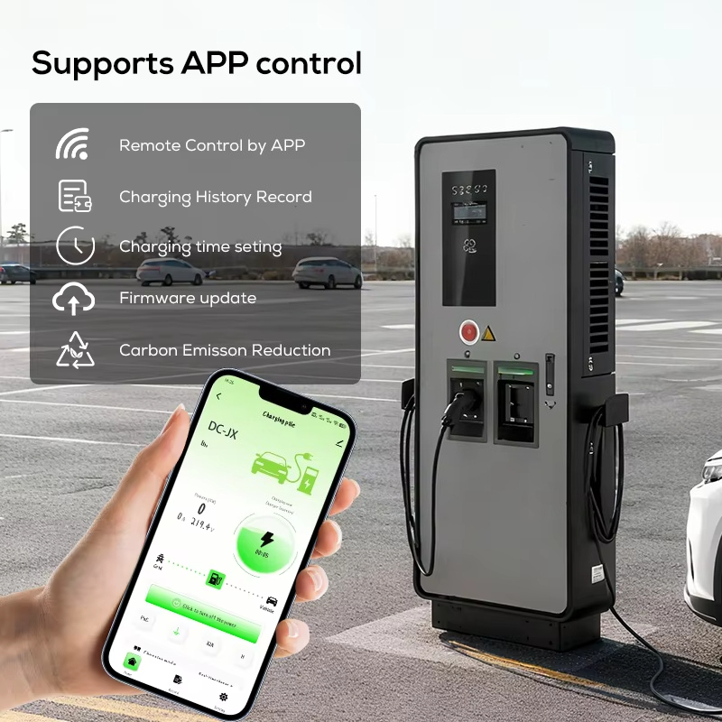 Cargador de CC dual para vehíc - Ev Charging Pile reseña y precio